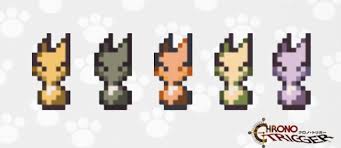 DailyTiger tweet media