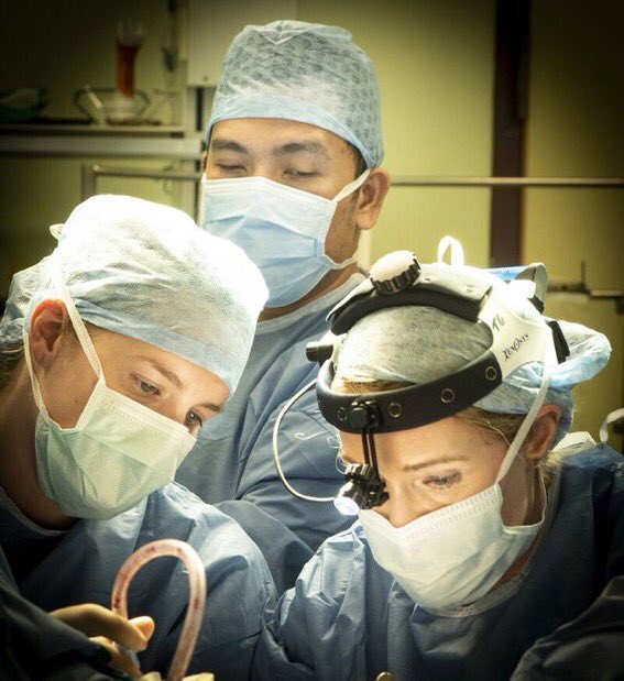 St. Brigid’s Day - Lá Fhéile Bríde - 1st February traditionally marks the beginning of spring in Ireland. An opportunity for change in a dynamic environment: CNM 3 Operating Theatres &amp; new Reeves Day Surgery Centre. Join our talented team #StBrigidsDay #TUHWorkingTogether
