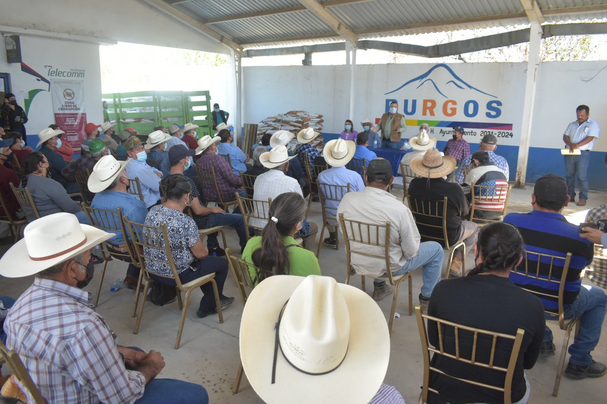 RuralTam_mx's tweet photo. Acompañado por los alcaldes Cristina Barrera Barrera, de #Méndez y Jorge Eleazar Galván, de #Burgos, el Secretario reconoció que en ambos municipios se siembran alrededor de 56 mil hectáreas de sorgo grano en el ciclo Otoño-Invierno.
#RuralTam
#TamCrece https://t.co/iLVUFIsyn8