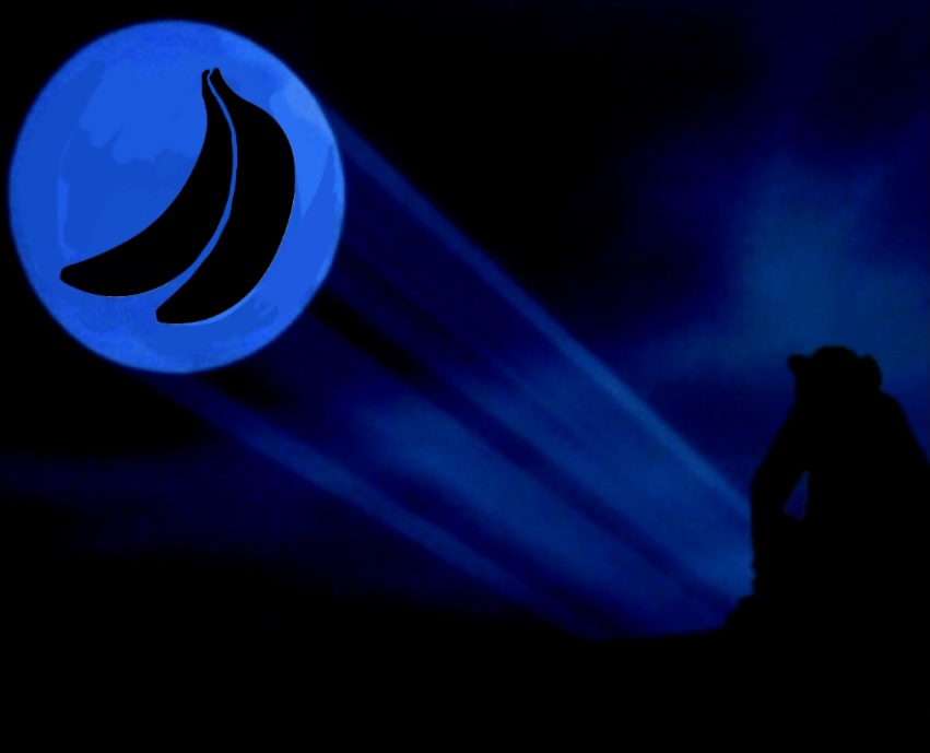 Our society is growing stronger everyday thanks to our community! We love you all 🦍🖤 We’re planning to hold a Twitter spaces AMA for all apes to come chat it up 🎙 Let us know what day we should hold it? 🎉 Make sure you stay connected on Discord for all the latest news ☑️ #GAS