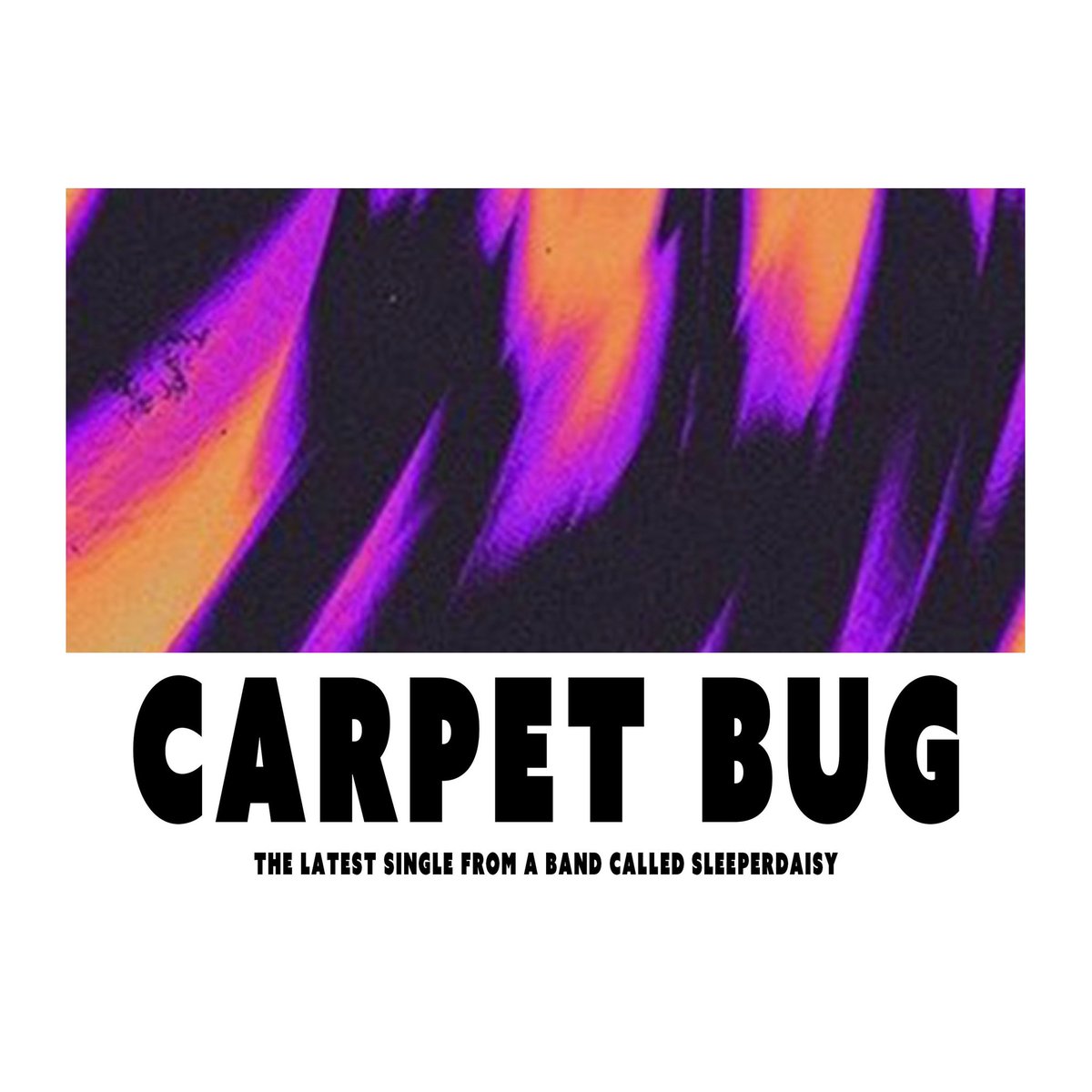 SLEEPERDAISY tweet media