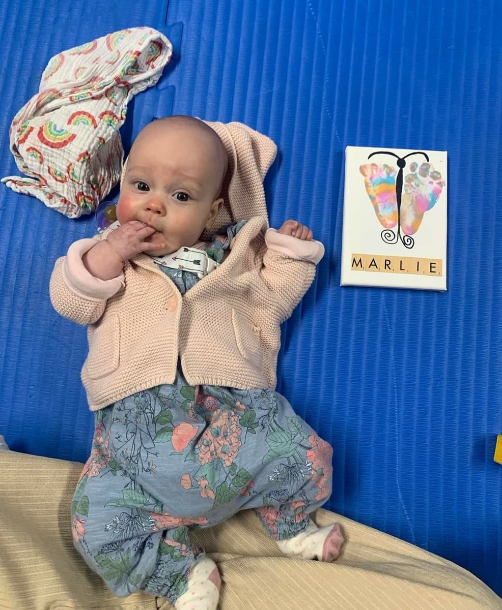 SNUG in Devon tweet media