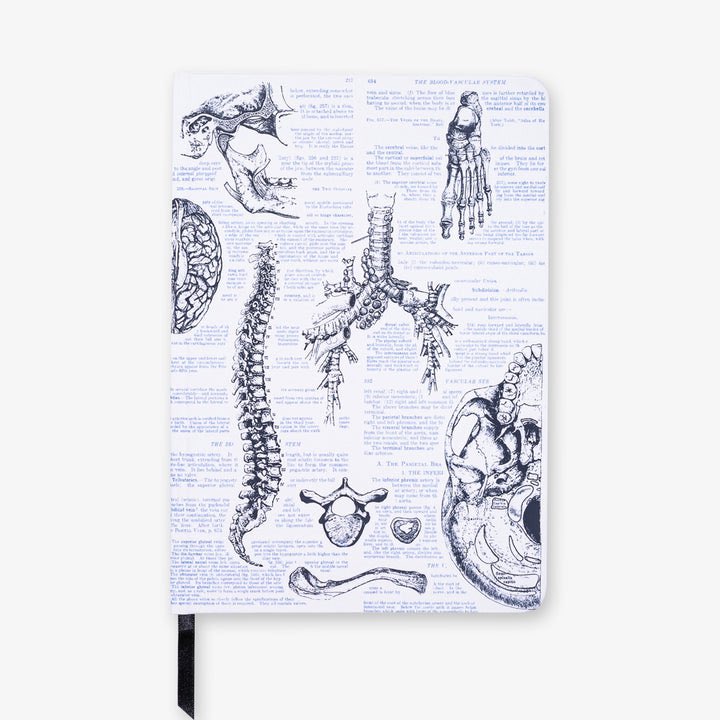Have to have a look at <a href="/atomsastronauts/">AtomsToAstronauts</a> page! When science meets art… and pretty notebooks 😉 #illustration #science #anatomy