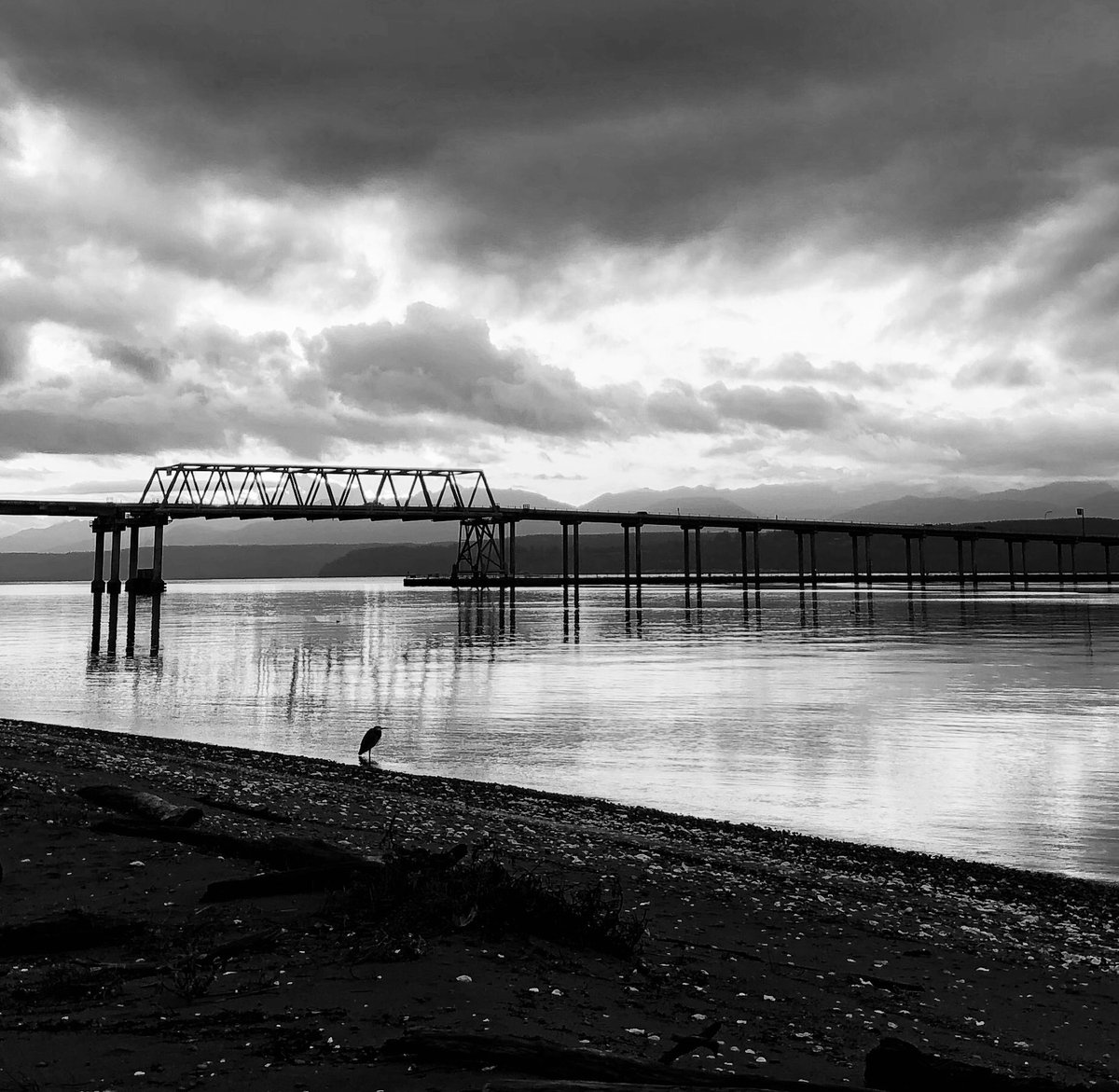 ConsumerDavid's tweet image. #blackandwhitephotography