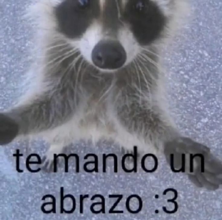 PlaceholderMod tweet picture