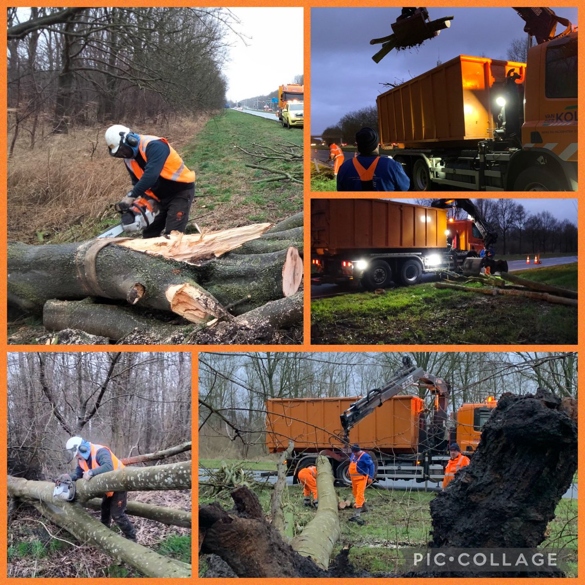 Storm “Corrie” legde gister toch wel serieuze bomen neer met zoals ze het wel eens noemen “dikke meter stammen”. 
Waren er weer druk mee!

vanderkolk-zwolle.nl

#stormcorrie #storm #stormen #bomenplat #dijkafsluiting #calamiteiten #kolkzwolle #oranjeleger #orangepower