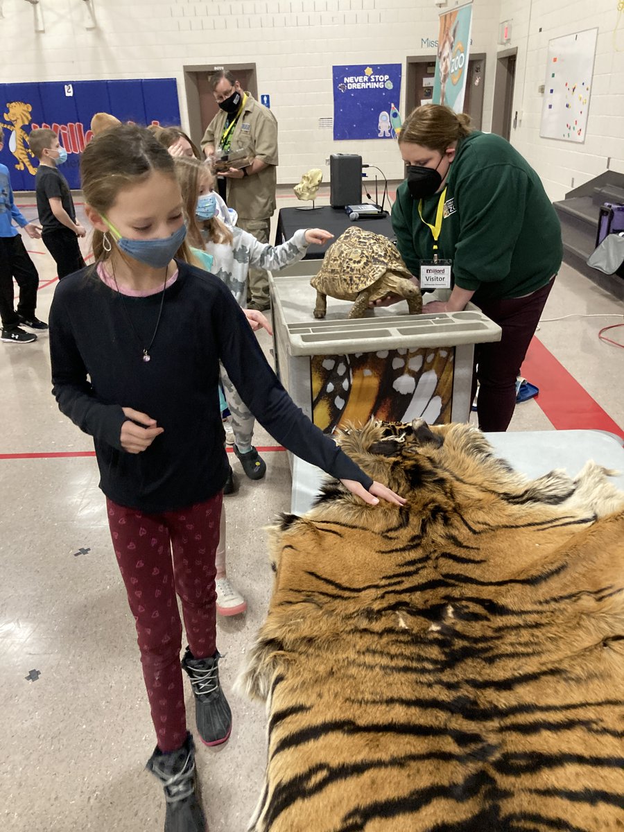 Wil_Library's tweet image. Thank you, @OmahaZoo for visiting @MPS_Willowdale to help us finish off our One School One Book program while learning about some special animal friends. #TailsandTales