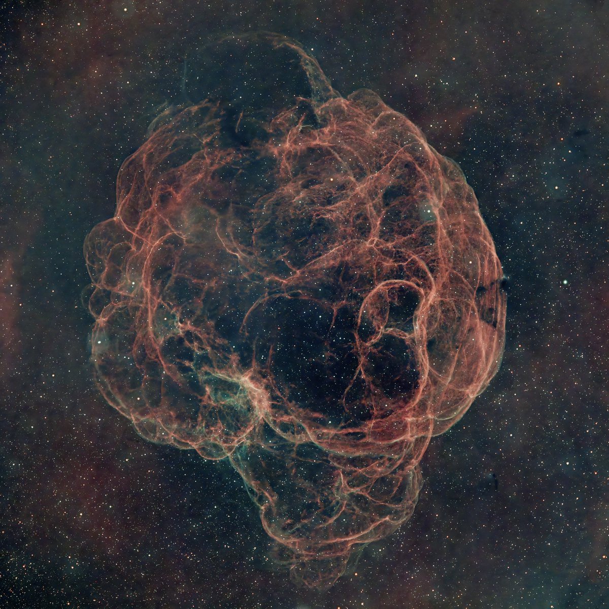 Alex Hawkinson tweet media