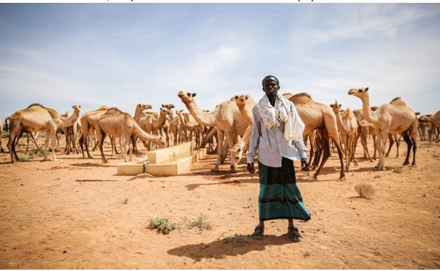 Like many pastoralists, Ali recalls the many times he walked long days in search of water💦. In response to drought in 🇸🇴, 🇬🇧 is ensuring his community in Qalwo have access to 💦 through construction of earth dam. With a capacity of 36,000 barrels, residents now have access to 💦