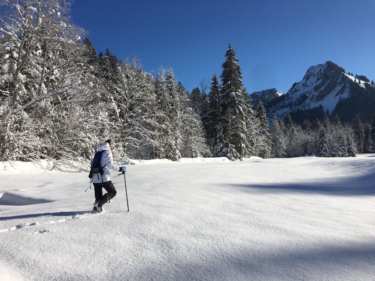 Ddukescon's tweet photo. #Schonenbach, at 1000m in the #Bregenzerwald, #Austria is cold and quiet and stunning in winter. #Vorarlberg https://t.co/wUBm6kv7iu