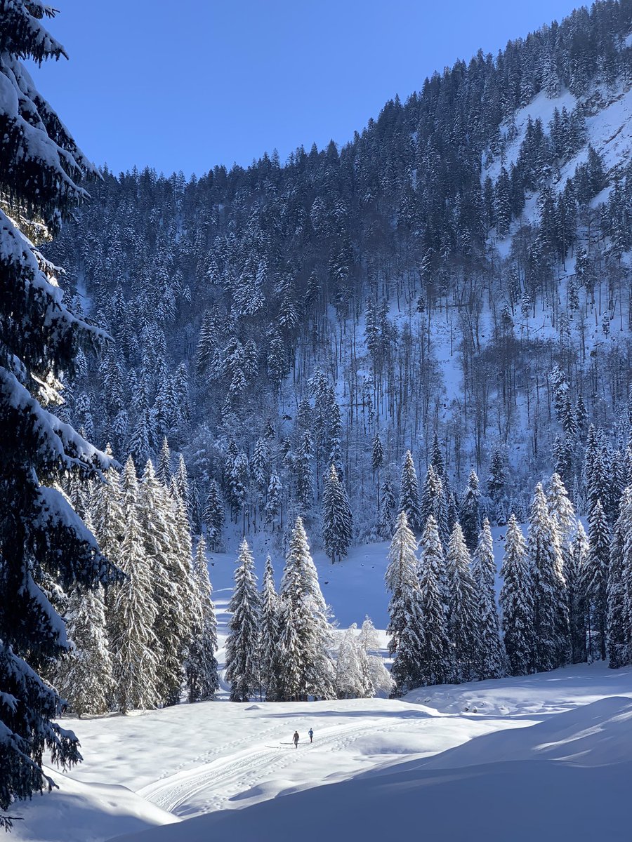 Ddukescon's tweet photo. #Schonenbach, at 1000m in the #Bregenzerwald, #Austria is cold and quiet and stunning in winter. #Vorarlberg https://t.co/wUBm6kv7iu