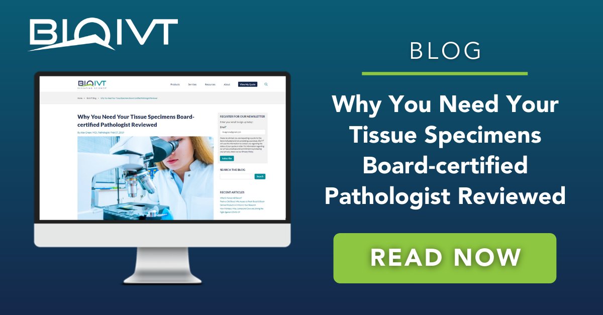 BioIVT's tweet image. ASTERAND Human Tissues have a &amp;gt;99% success rate. That’s because each block is independently reviewed by our team of board-certified pathologists. Find out how we can increase your success rate! #BiomarkerIdentification #BiomarkerValidation #histology hubs.ly/Q0139Xzp0