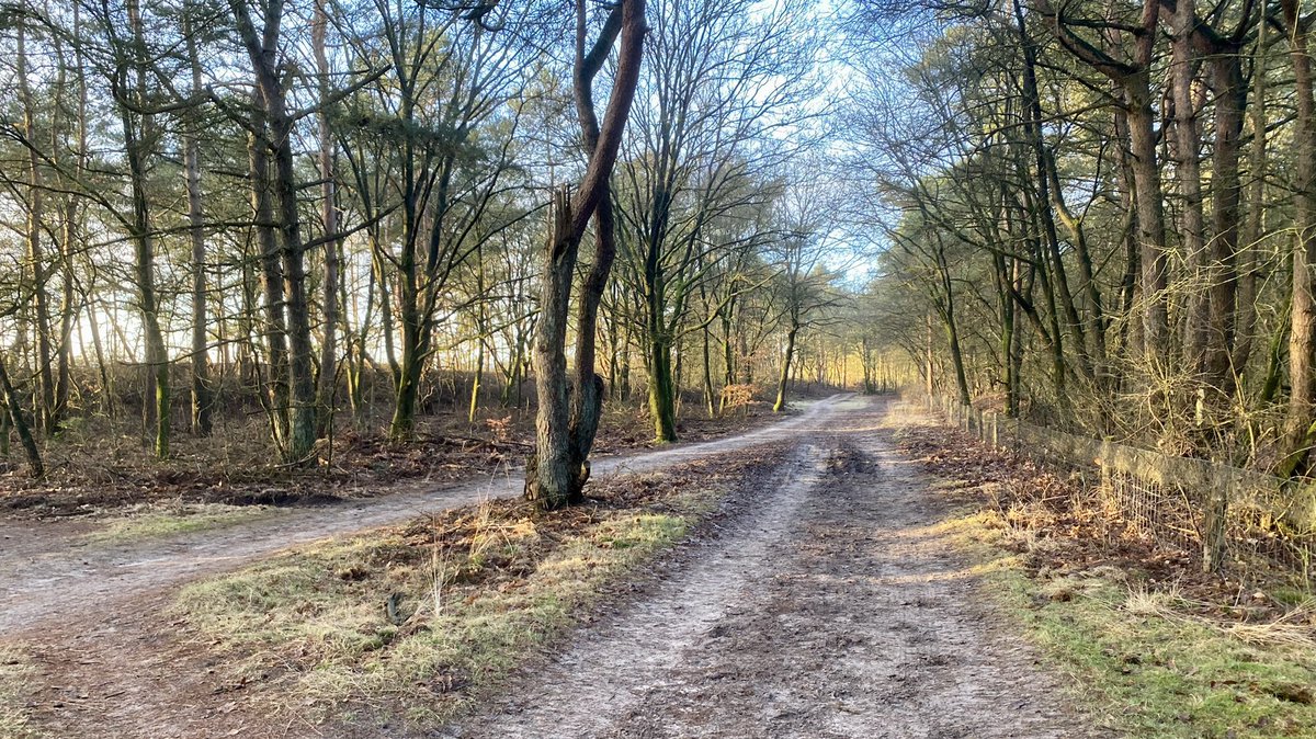 ad_trainingen's tweet photo. Even wandelen tijdens het werk. #wanderlust #wandelen #Corona #vogelnieuws https://t.co/9CyLDnLBZV