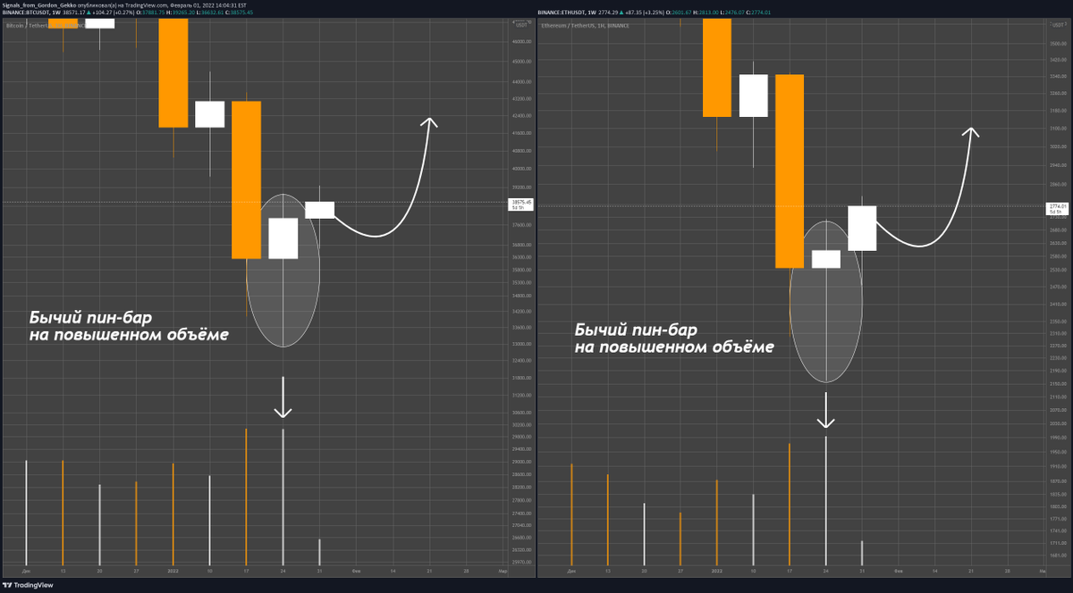 Signals From Gordon Gekko tweet media