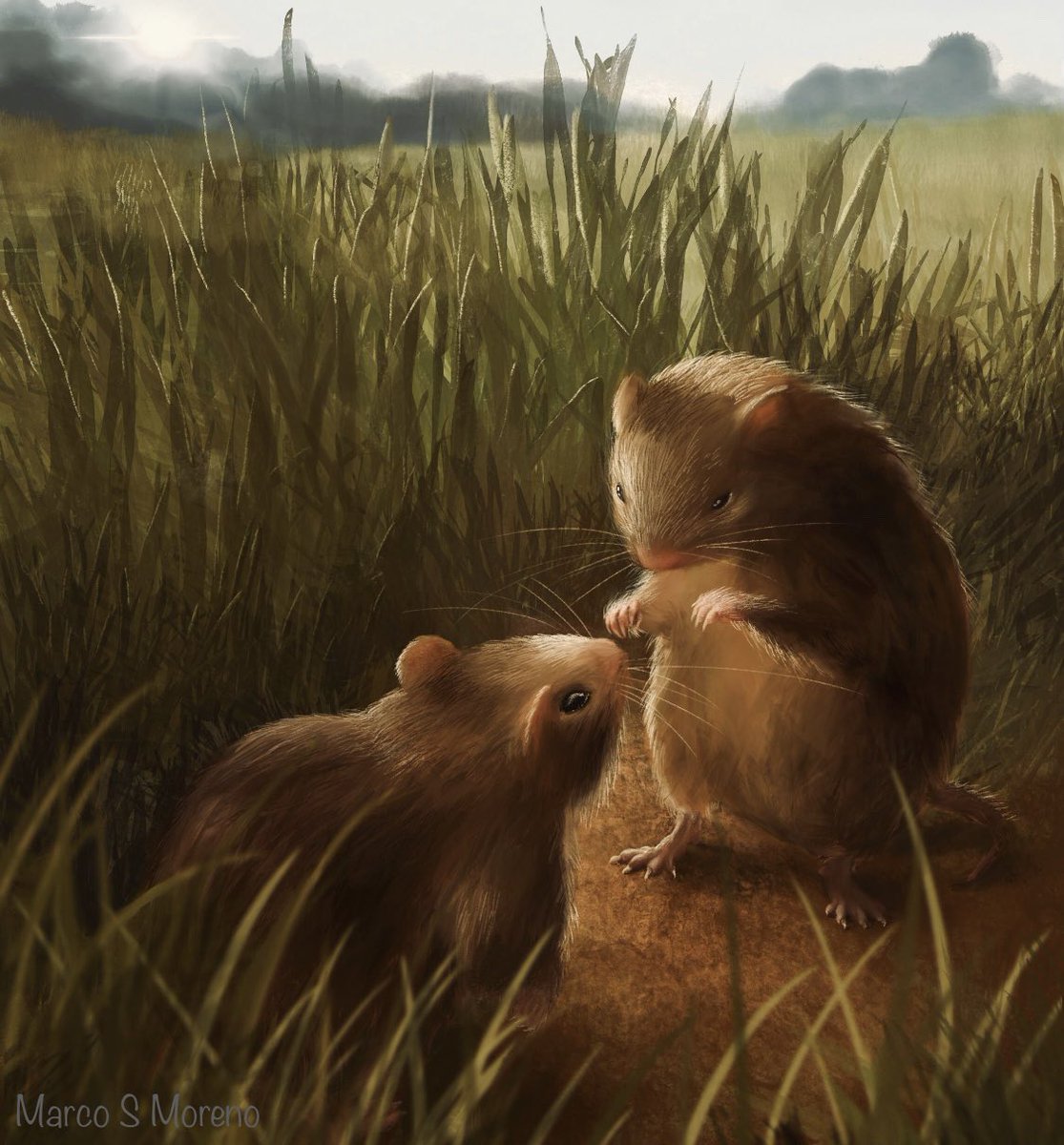 Robert C. Liu tweet media