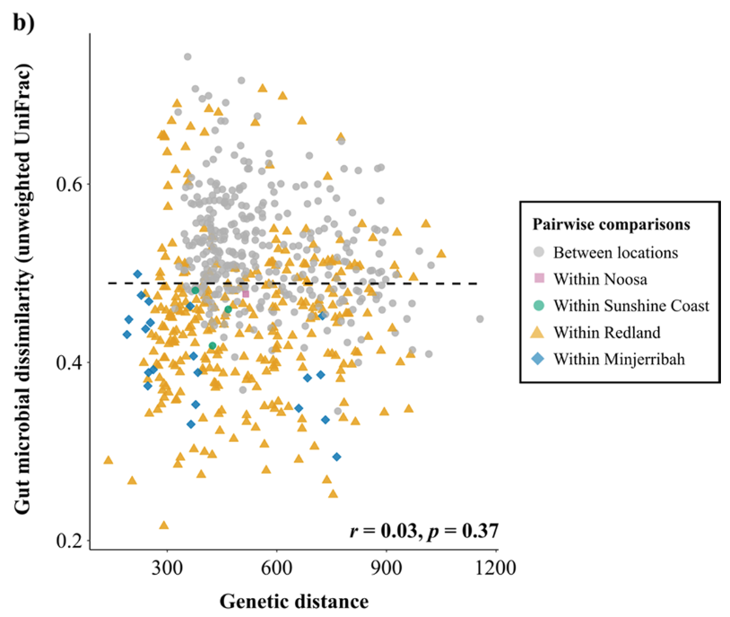 BethanColquhoun's tweet photo. We show:
1) koala gut microbiomes show large variability across the landscape 

2) koala landscape microbial patterns do not match landscape population genetic patterns (genetics are often considered when designing koala conservation initiatives)

https://t.co/IHfo0n53Gi

3/4 https://t.co/FncY3aOXod
