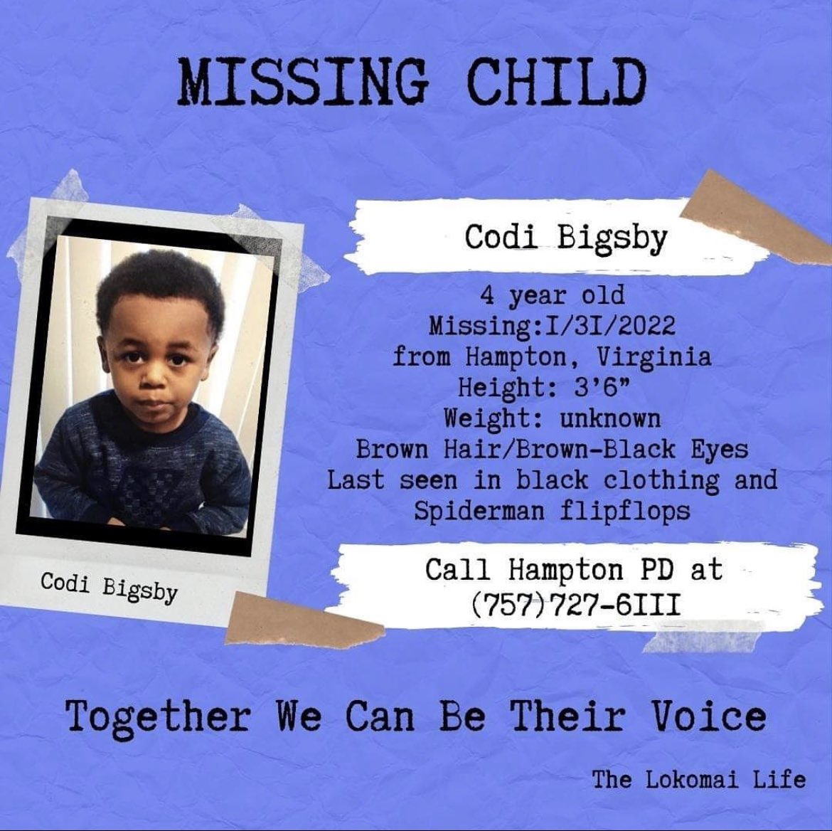 JSantanaBack's tweet photo. Codi went missing yesterday in Hampton, VA please spread this and lets bring Codi home ! https://t.co/DUAGjKKrC5