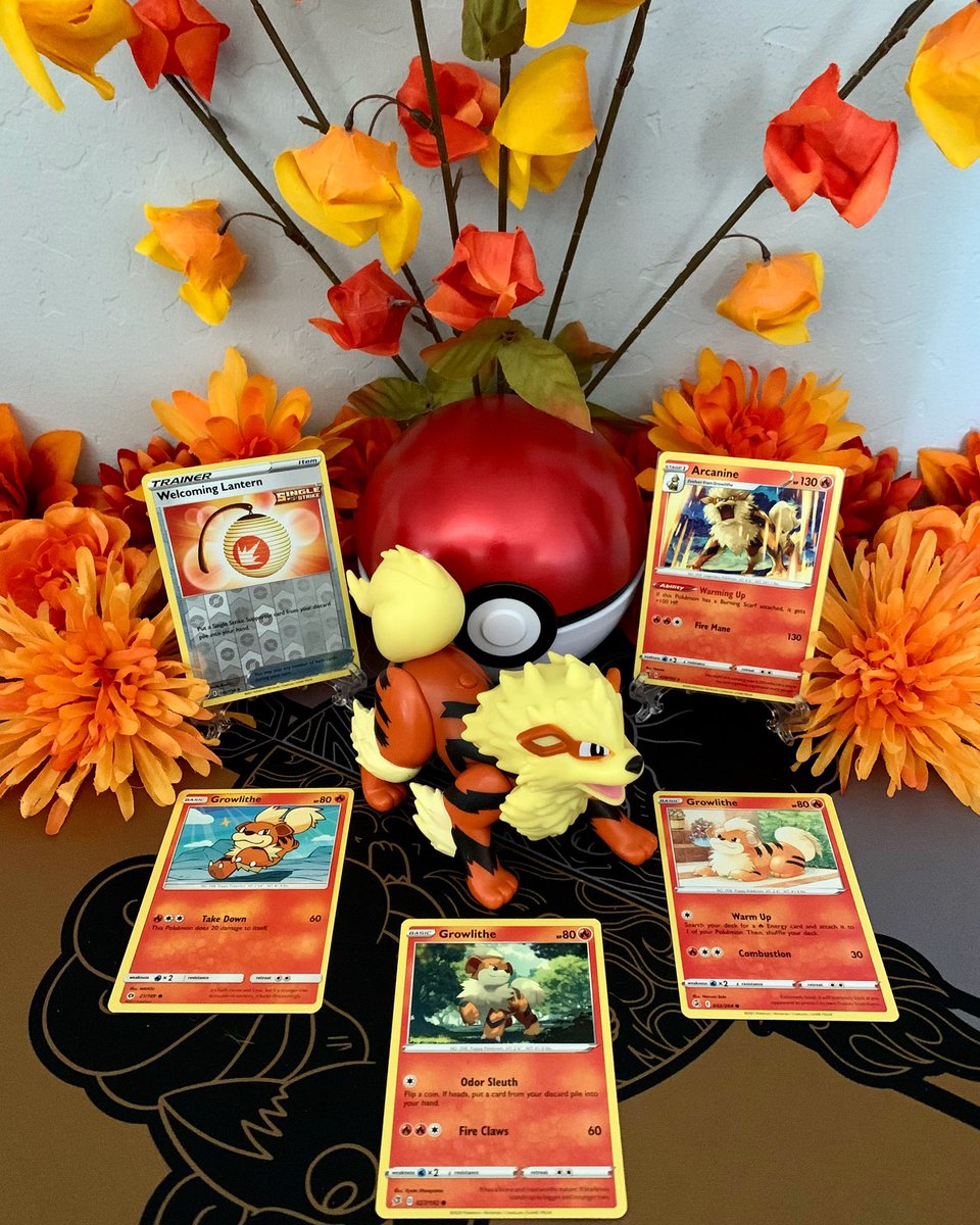 Catterly tweet media