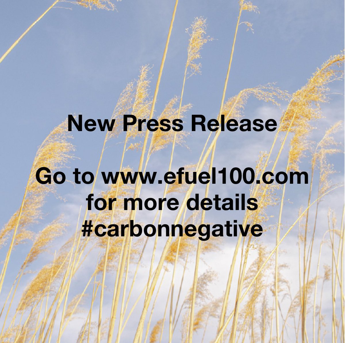 E-Fuel tweet media