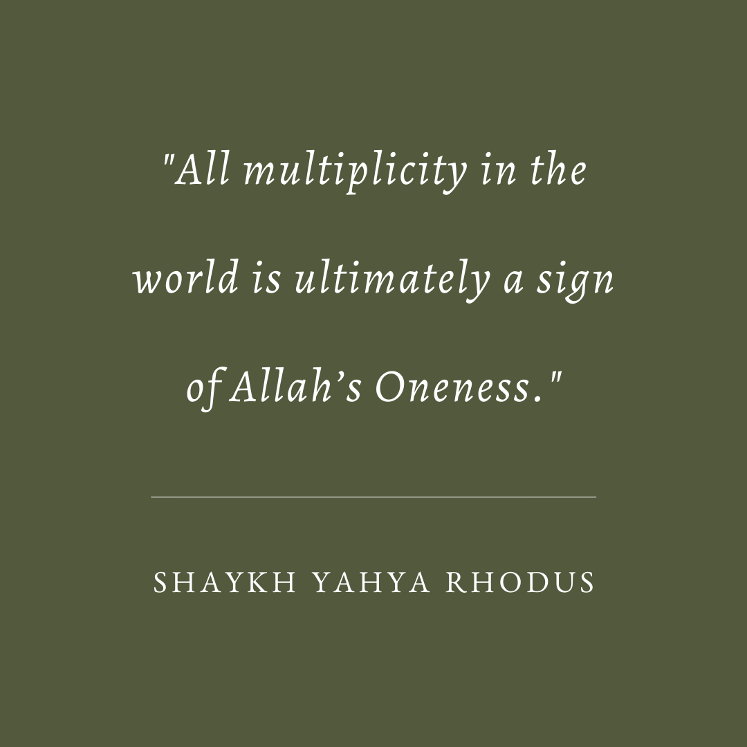 Yahya Rhodus (@yahyarhodus) on Twitter photo 