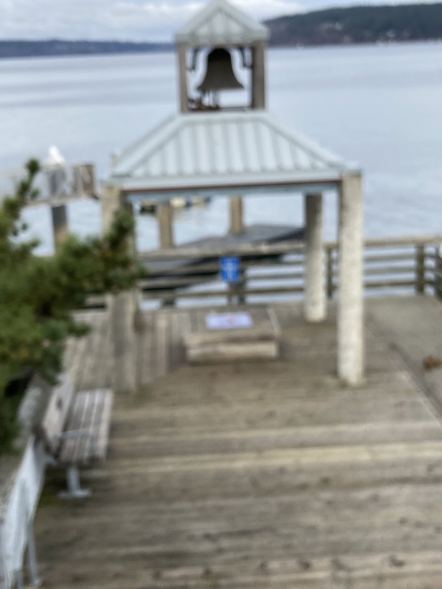 sunmonkey9's tweet image. #monkeyshines2022 I heard someone say this is there favorite spot to hide I agree it’s very peaceful