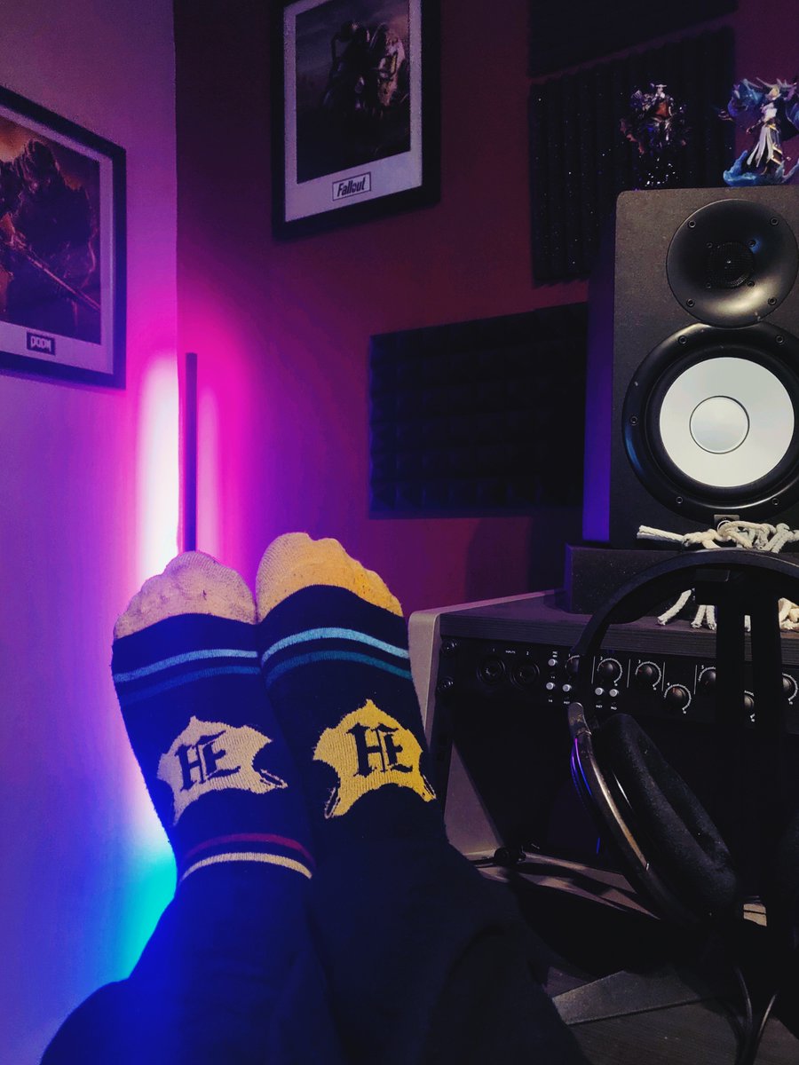 PallonenVille's tweet photo. I hate myself for doing this #socksofgameaudio You're a lizard, Harry https://t.co/vslBXScVjO