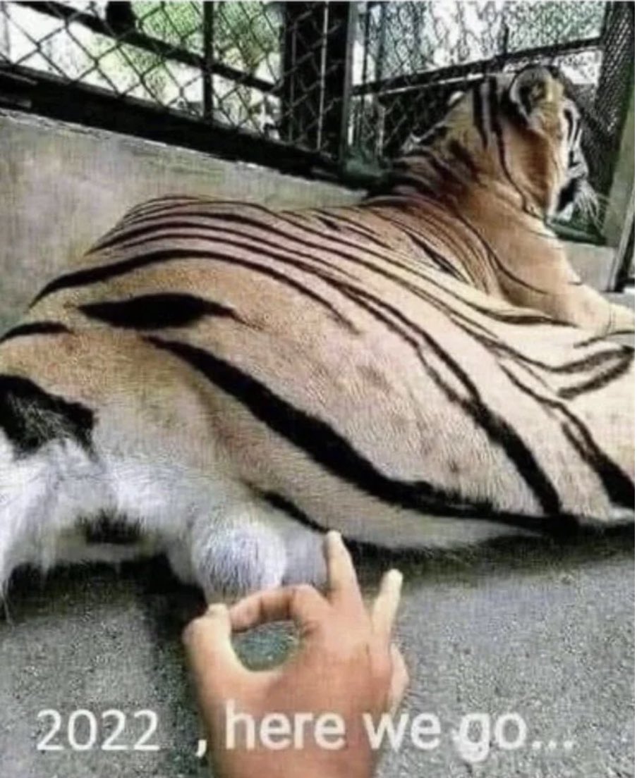 It’s the Year of the Tiger ….. Let’s kickstart this one …..