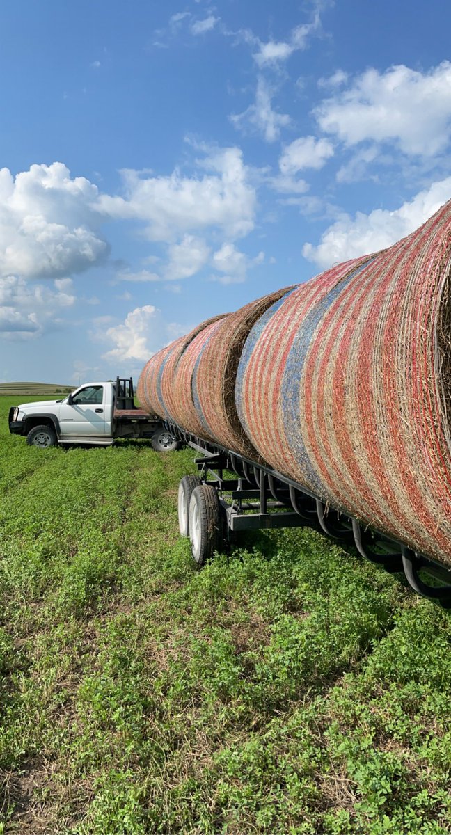 Looking for full time farm help in Southwest Iowa. $35k starting annual salary. Rent assistance and 2 weeks PTO/sick leave. RTs appreciated.