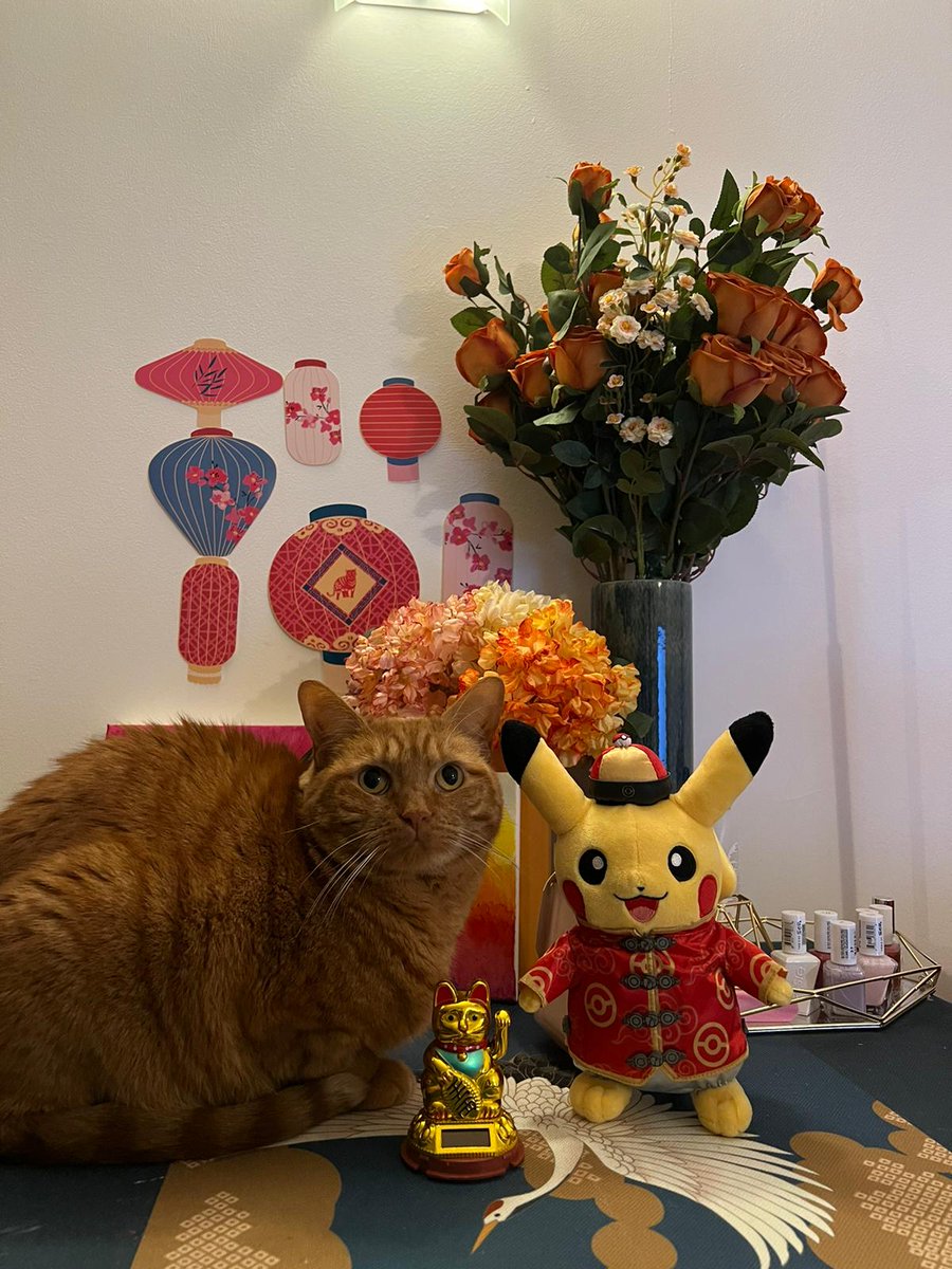 Nick The Pokemon Collector tweet media