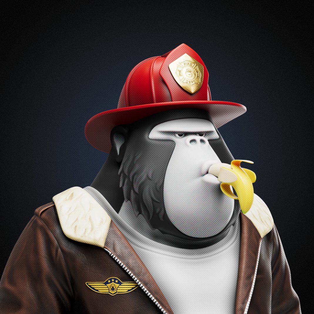 JakesStuff2's tweet image. gorillas w hats