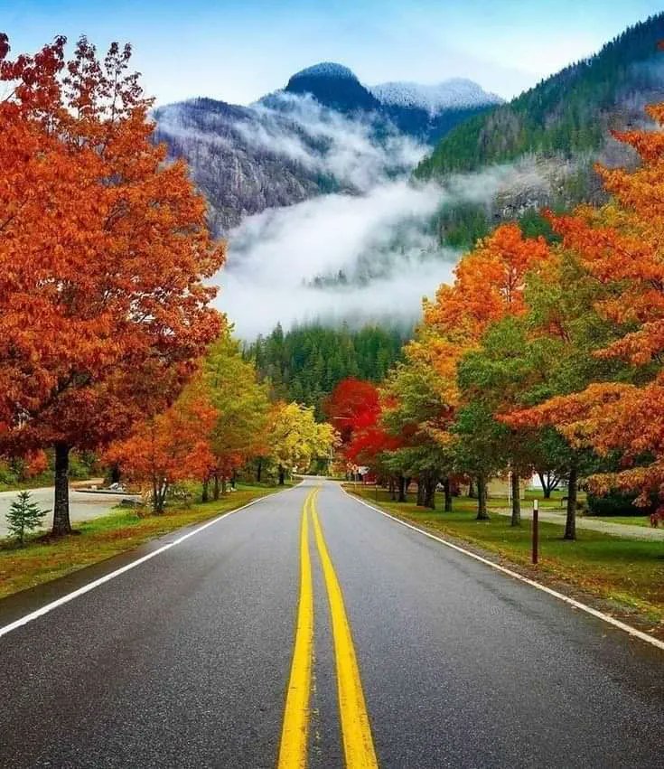 coachramnayyar's tweet photo. You may not know where the road is leading you or what is on the other side, but, don't forget to take in the scenery as you go, you never know what you may discover. This is my simple advice on this #coachtiptuesday. #think #relect #journey #road #beautifulbritishcolumbia https://t.co/fcOZgPKzFx