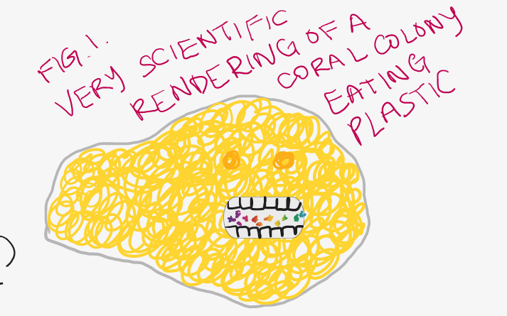 Dr. Kayla Blincow tweet media