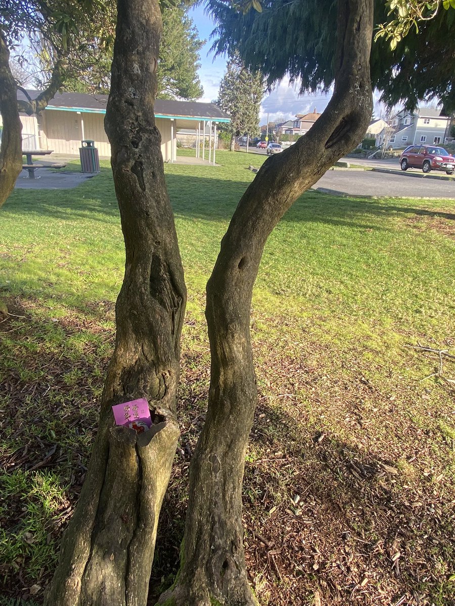 HeavinSarah's tweet image. 