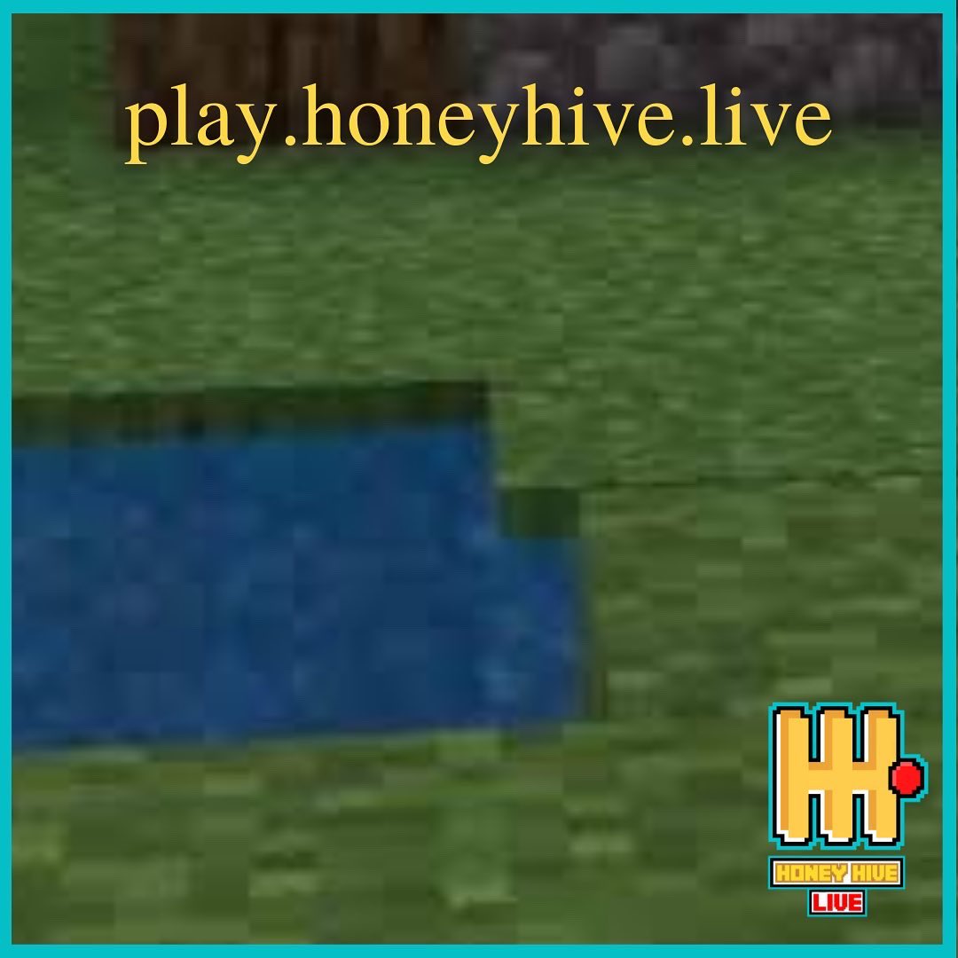 Honey Hive LIVE 🔴 tweet media