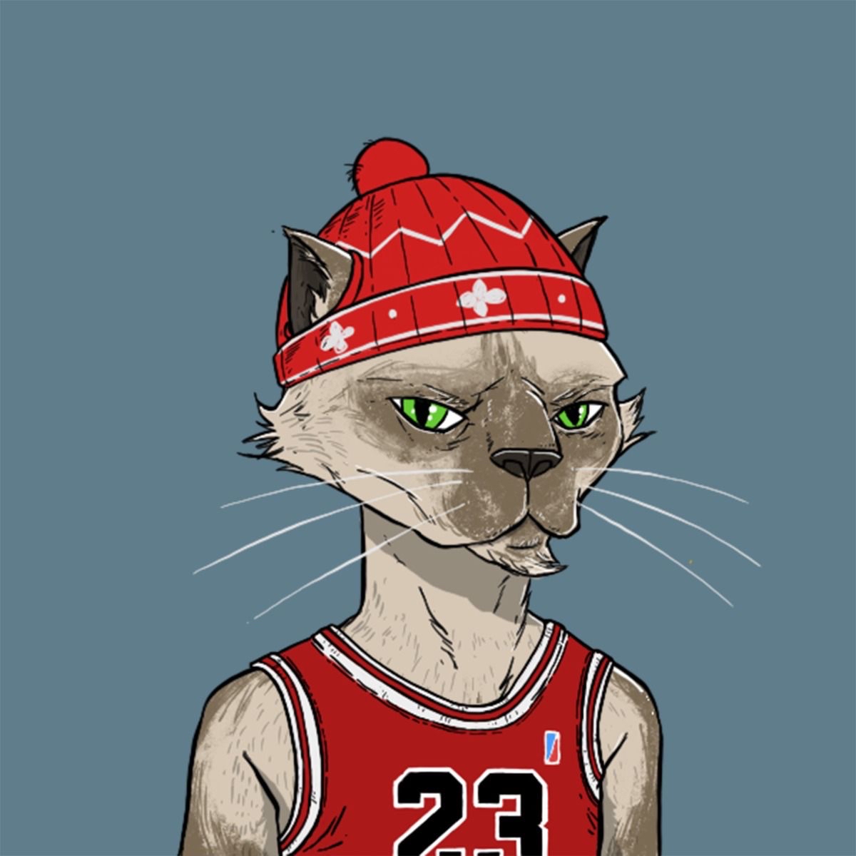 Solana (NFT, Memecoin, Airdrop) Radar tweet media