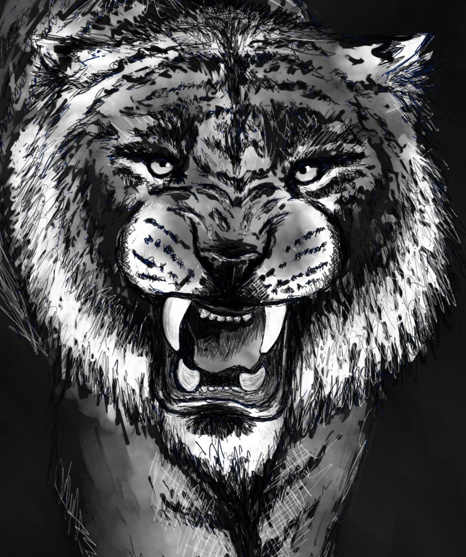 Happy Lunar New Year 🎉🎊🎉🎊
#YearoftheTiger2022