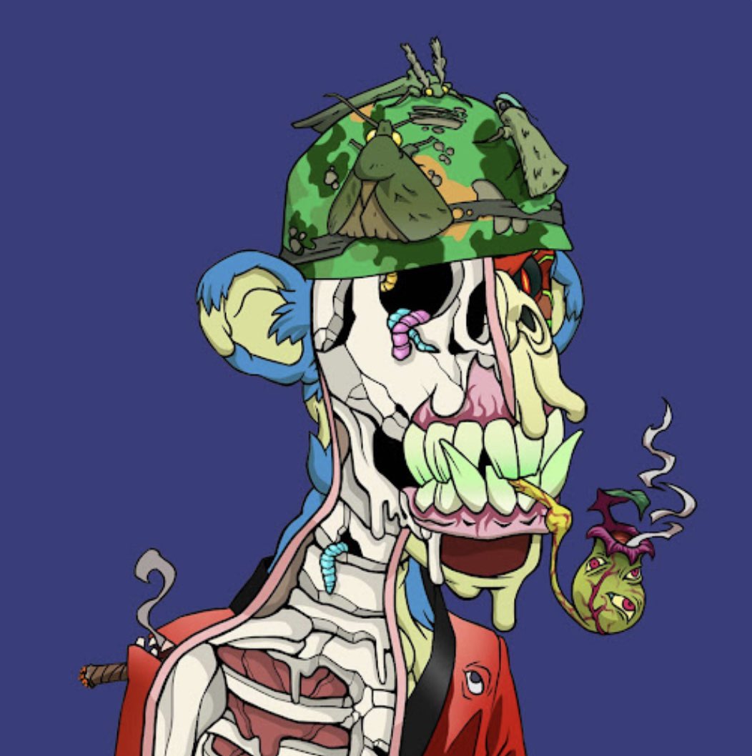 xoro_nft's tweet photo. @TheAlphaT @AnatomySAC https://t.co/m7gQgDAQoZ