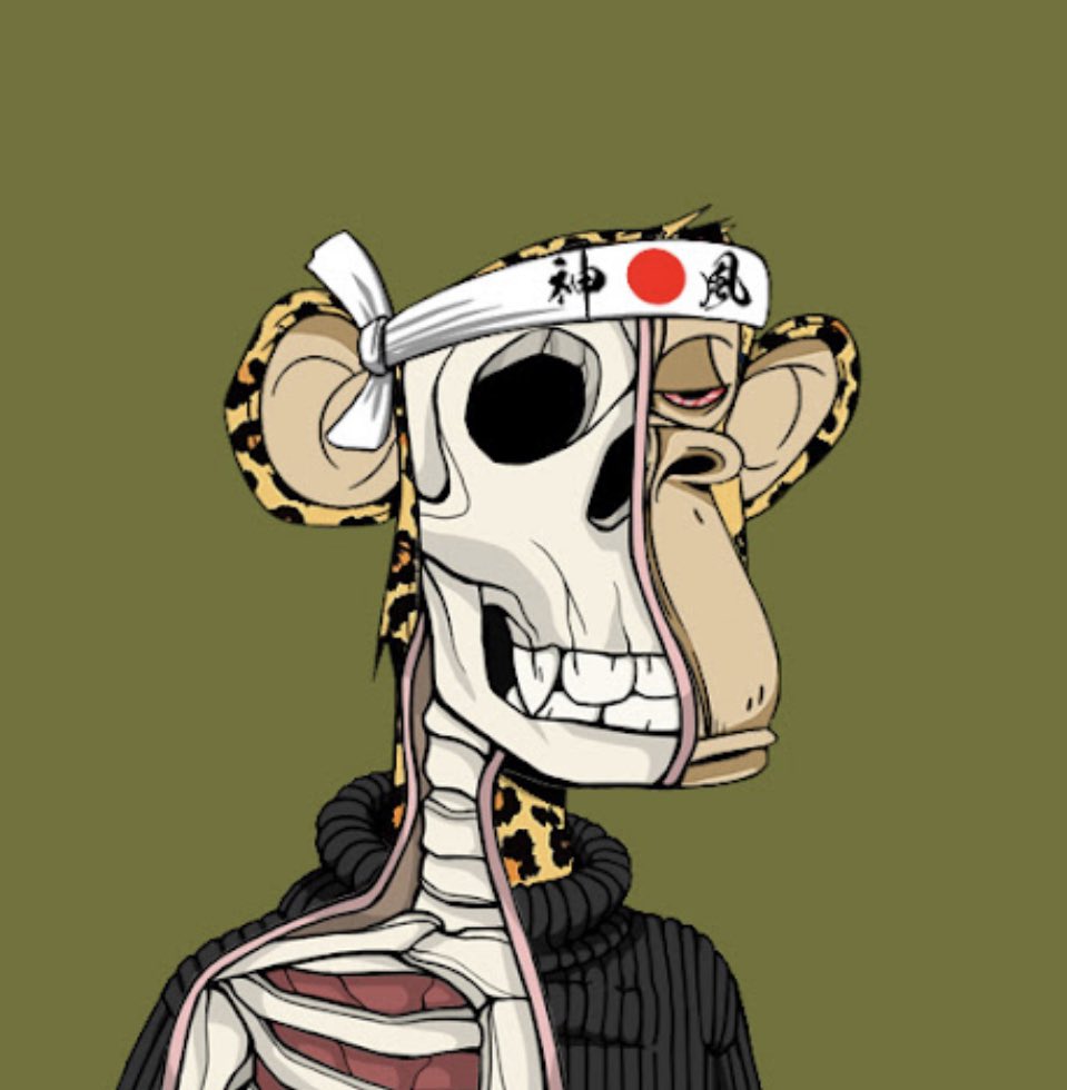 xoro_nft's tweet photo. @dirtyducktoken @AnatomySAC #ASAC #MASAC https://t.co/QM1uuId7zk
