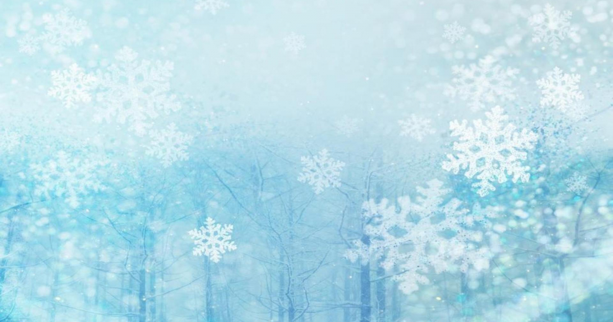 Romulus Community Schools tweet media