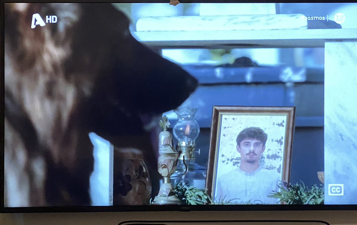 Aristotleslife's tweet image. Maνταρινα μου ... σκυλάκι μου πονεμένο....
Πόση αγάπη έχεις μέσα σου ψυχούλα μου!!!!
Η ανιδιοτελής Αγάπη....αυτη είναι !!!!!#Sasmos