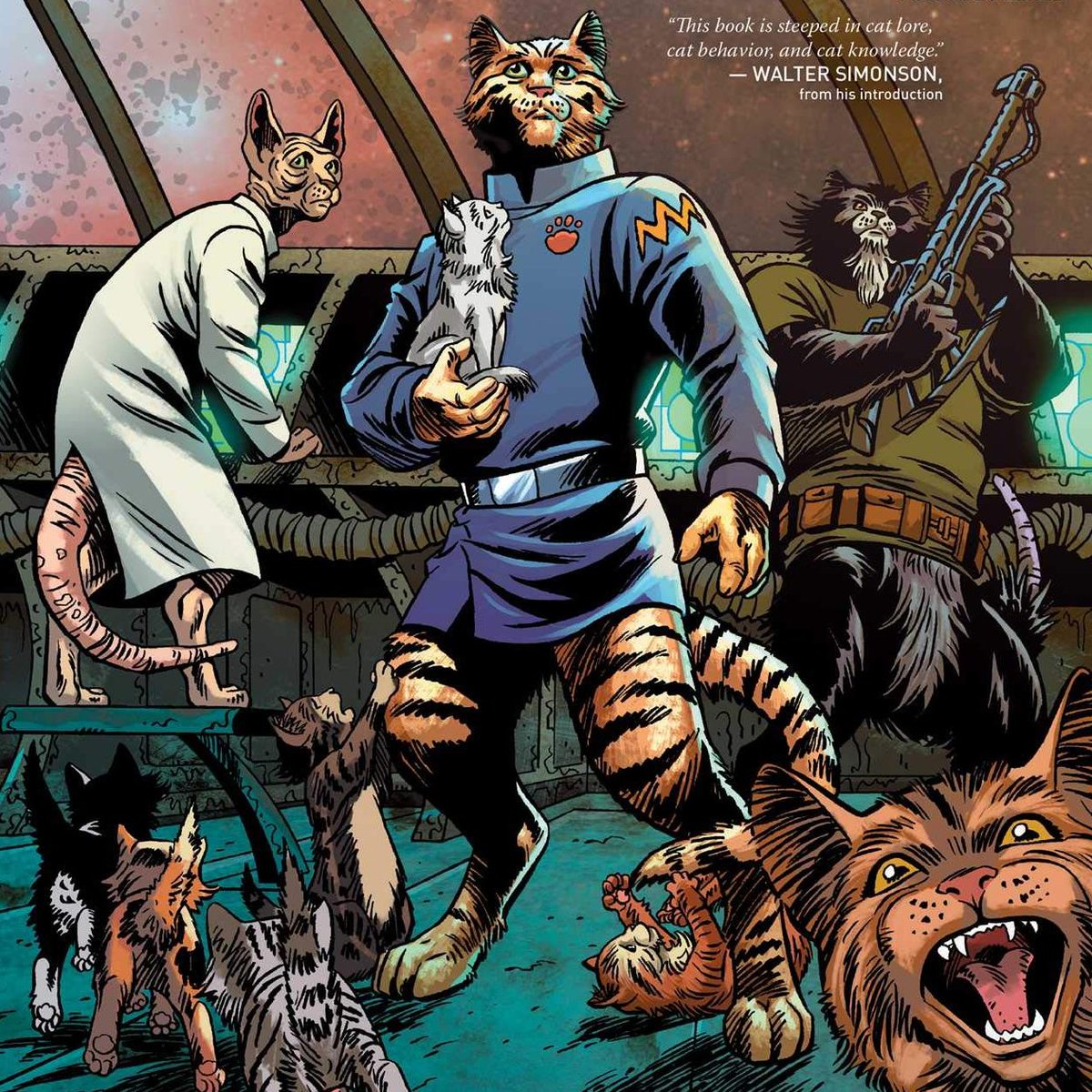 AhoyComicMags's tweet photo. #CastingCall: do you have a 🐈 who would be (forgive us) purrfect for a live action #CaptainGinger 🎥? Send us a photo in this thread.*
*Disclaimer: there are no plans for a Captain Ginger 🎬 (at this time). #CallUsSpielberg #CatsofTwitter https://t.co/KEMbGsQxrG