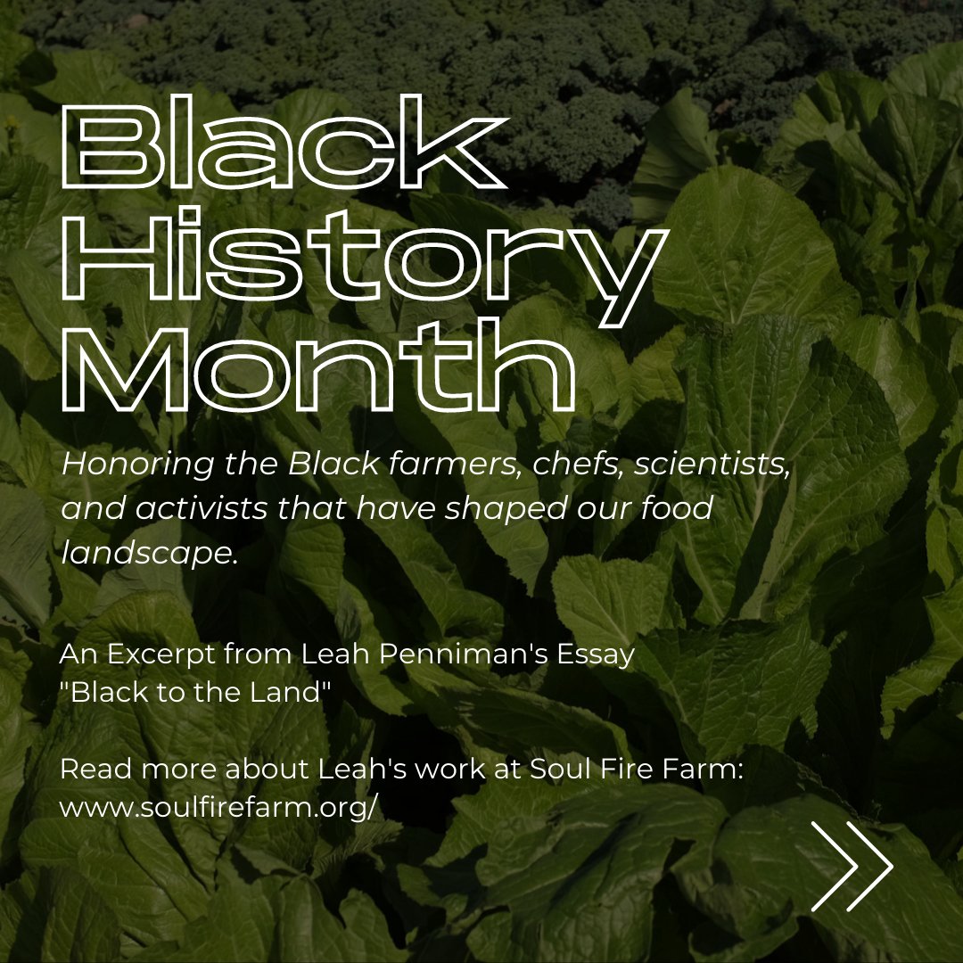 LA COMPOST tweet media