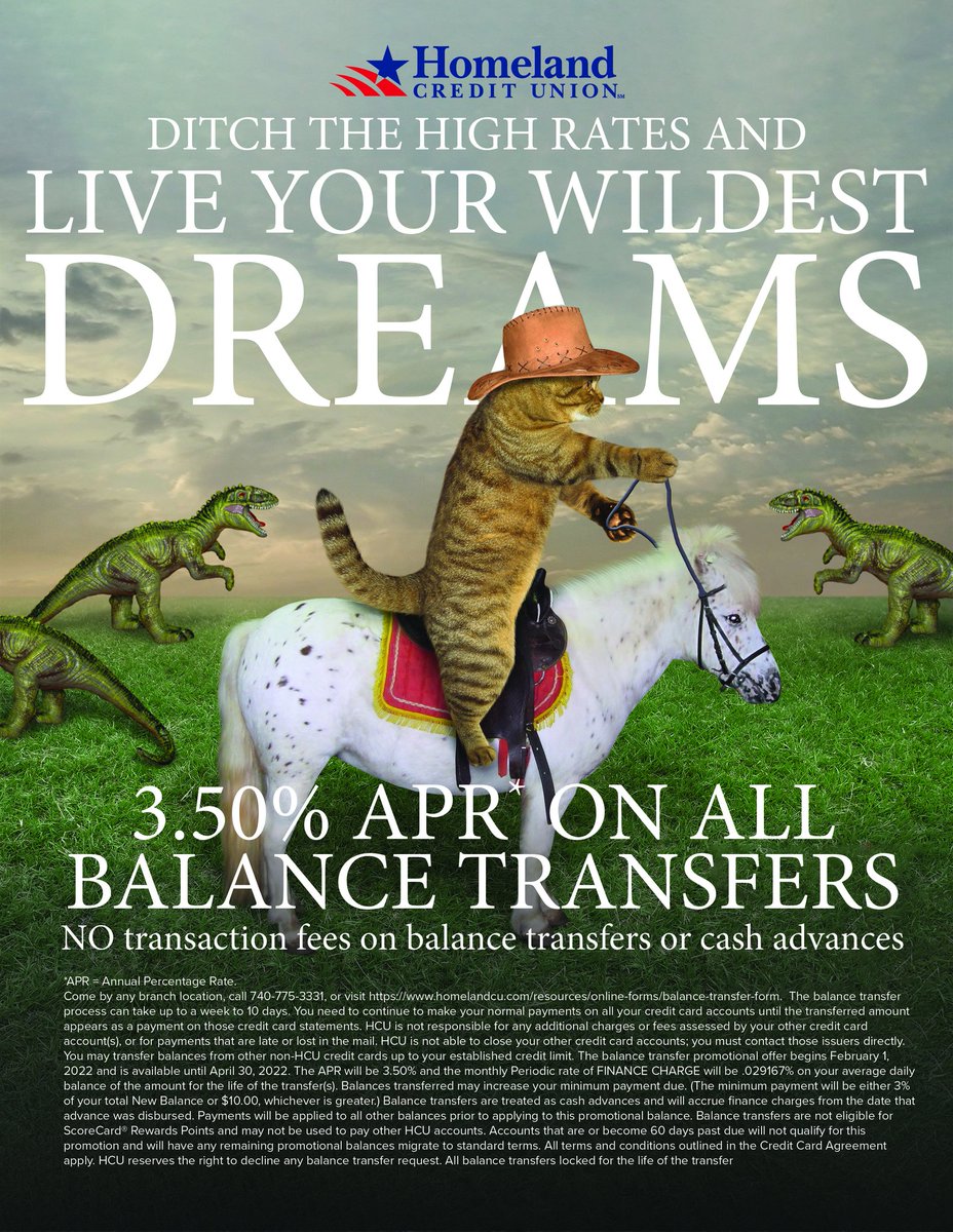 Live your wildest dreams...pretty proud of this graphic! <a href="/HomelandCU/">Homeland Credit Union</a>