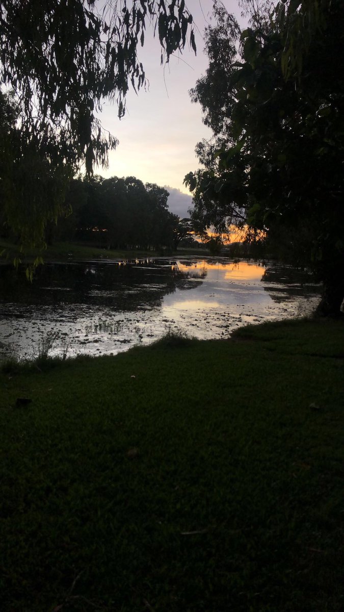 It’s #WorldWetlandsDay! This year’s theme is “Wetlands Action for People and Nature.” I visited a local wetland near my house for this morning’s run. How will you celebrate #WorldWetlandsDay2022?
