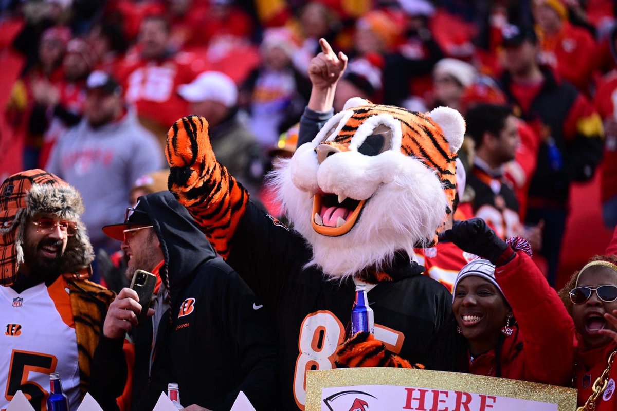 versatyle's tweet photo. This poor tiger received a caudectomy from an angry KC fan. A trip to the Super Bowl with his handlers @ShawnPrincell @forcedair33 @Holmes939 (on his right) would help him recover. #stolentail https://t.co/42zvmORMUb