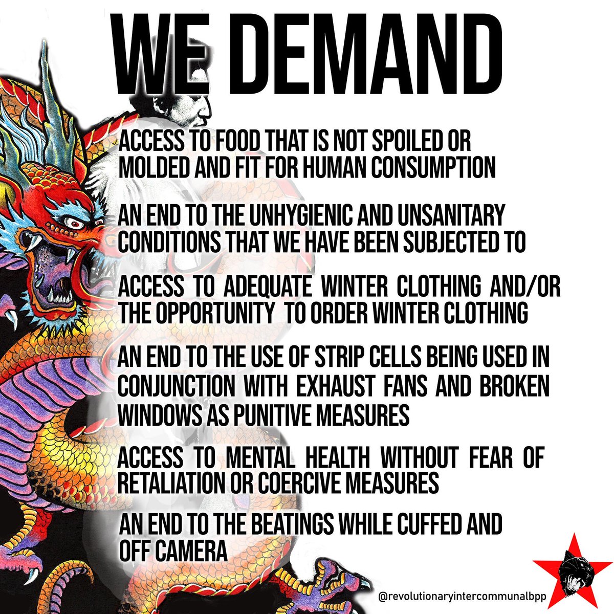 Revolutionary Intercommunal Black Panther Party tweet media