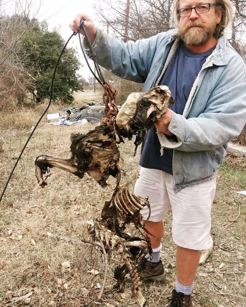 kaylamarie413's tweet photo. #Texas #JohnsonCountySheriffsDept you pieces of shit. Its against the law to tie dogs up outside.This poor dog died of starvation tied up in the yard and they did nothing. Its too late for this baby but their are millions more tied up and dying. #doyourfuckingjob #Pleasecall https://t.co/FZZcHqiUAX