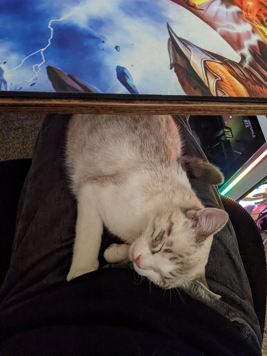 Cephisodotus's tweet photo. @baconmeggs Picked up this adorable child after a tough move across the country! It's scary, but looking at her always calms me down, or forces me to focus on saving whatever she's about to destroy 😊 https://t.co/3Vvpy0iELx