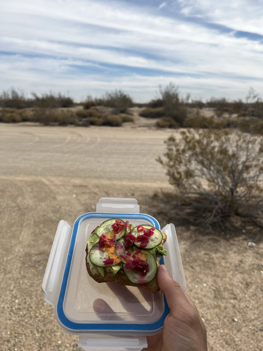 Nomad_Brad_NFT's tweet photo. Whatโs for lunch my nomads? Iโm working on this hummus, avocado, cucumber, sauerkraut Sammie ๐คค#vanlife #Nomad #skoolie #skooliebuild https://t.co/fxS4N8VXgU