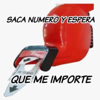 pal_meow's tweet photo. Por supuesto no supo borrarlo hasta que ya no podía eliminarlo para los demas... https://t.co/dg87yiOZWg